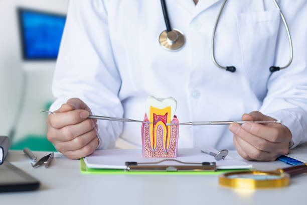 Best 24-Hour Emergency Dental Care in Richmond Hill, GA